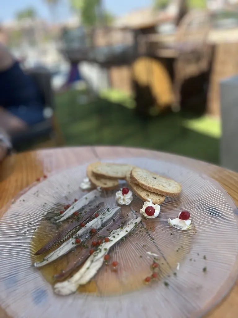 Susie Perez Fernandez_Selvático Beach Club Tarragona_Tarragona_review