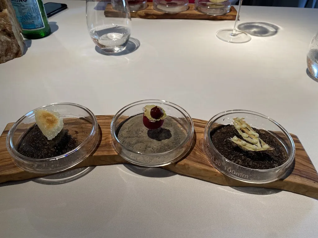 Bria Anyim_Les Moles_Ulldecona_review