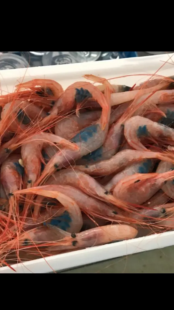 Menu_TABERNA RICO_Garrucha_image_9