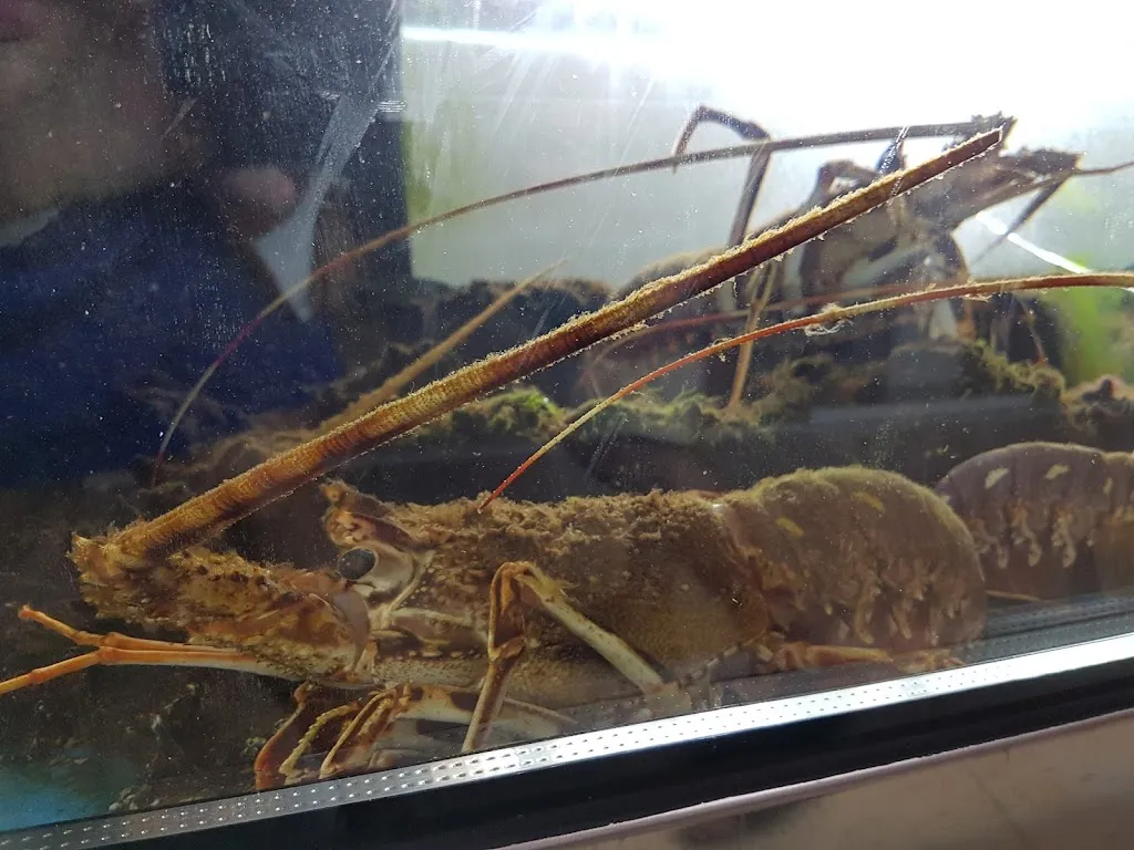 Regina Heide_Restaurante El Birra_Garrucha_review