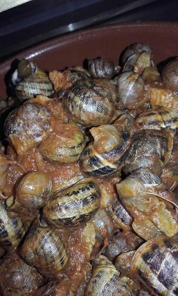 Menu_Bar Trinos_Vilalba dels Arcs_image_4