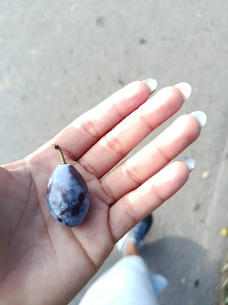 Yesibel Parra_Hostal Rural Casa la Era_Jarque de la Val_review