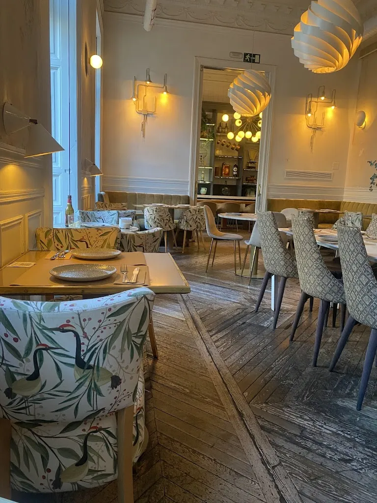 Stacey Linnartz_El Imparcial_Lledó_review