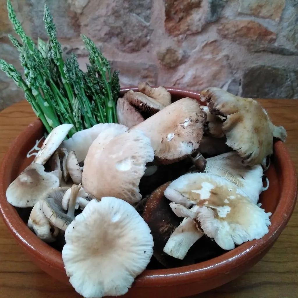 Menu_Mirador del Maestrazgo_Mazaleón_image_3