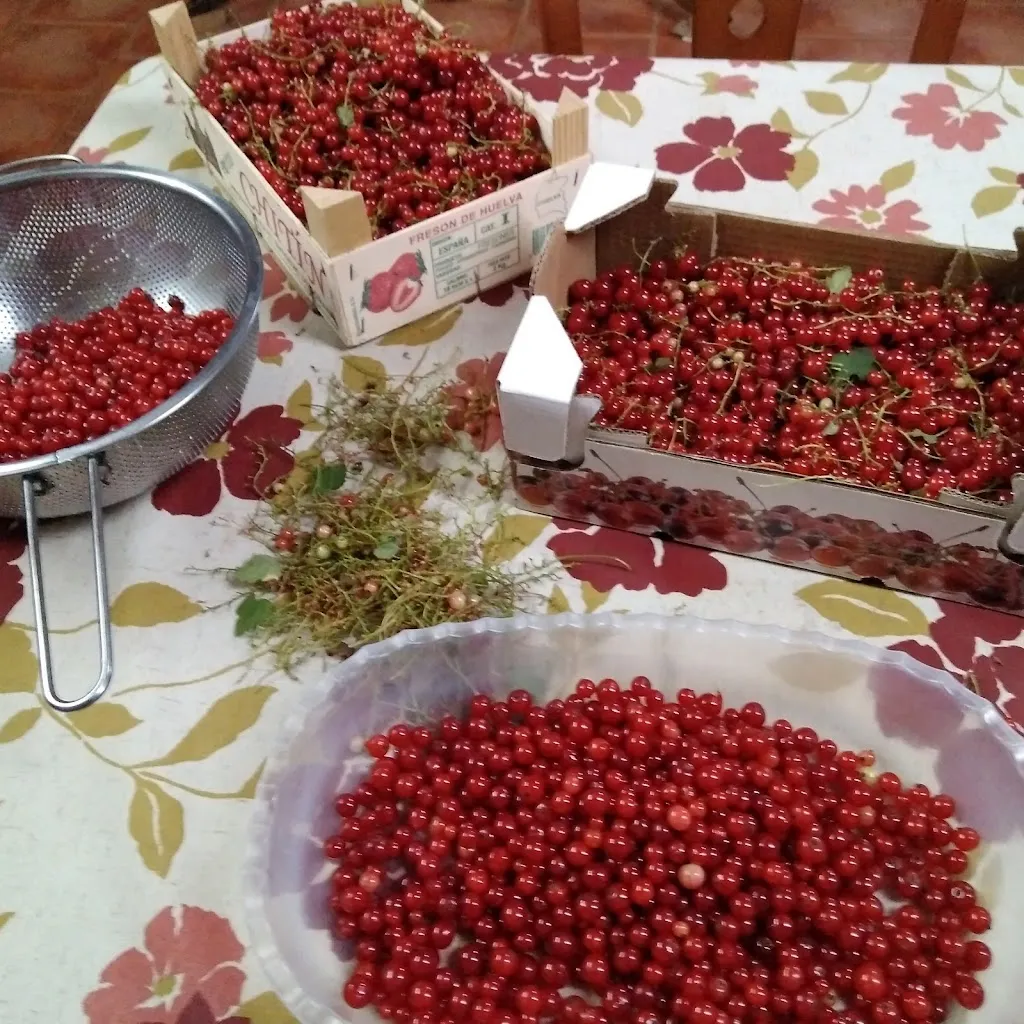 Menu_Mirador del Maestrazgo_Mazaleón_image_9