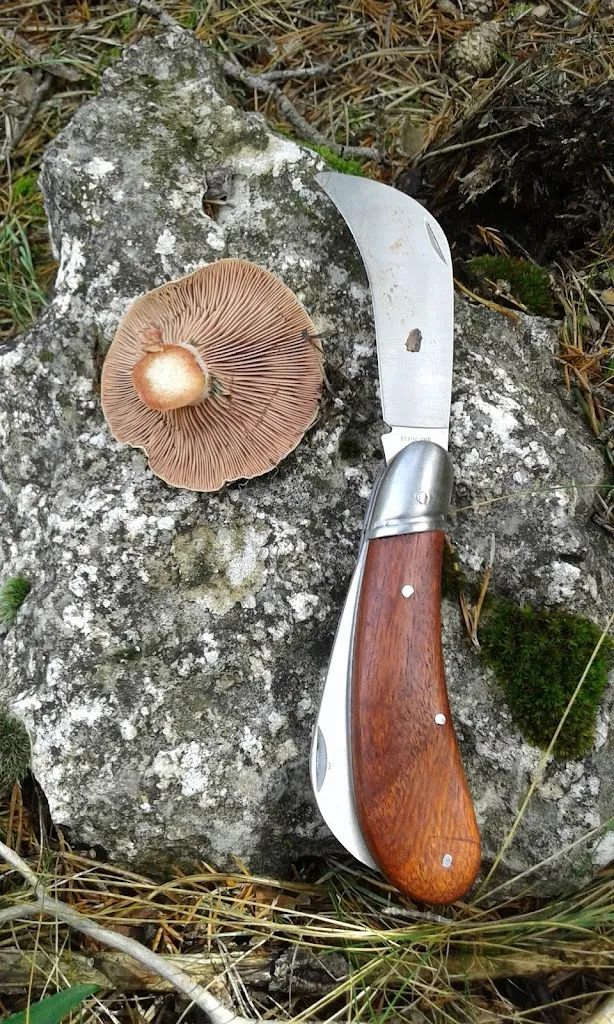 Jose Galiana_Hostal Venta liara carretera teruel-cantavieja_Monteagudo del Castillo_review