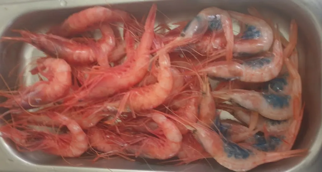 Menu_Bar la frontera 2_Macael_image_8