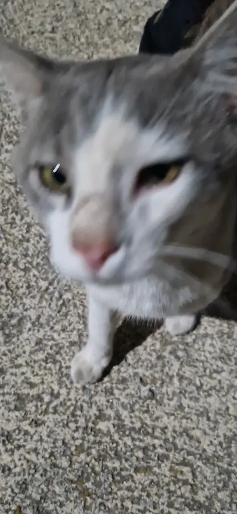 Miky. Gas_Hostal Hoz del Manzano_Monterde de Albarracín_review