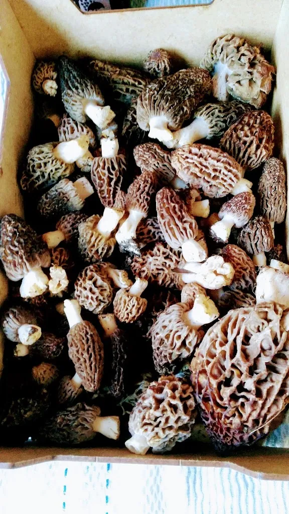 Menu_Bar La Portera_Mosqueruela_image_4