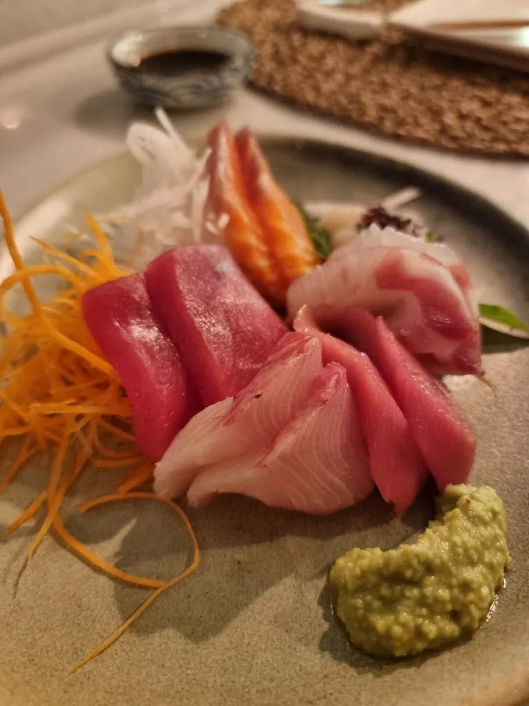 Vladimir Bojovic_Nanako_Nogueras_review