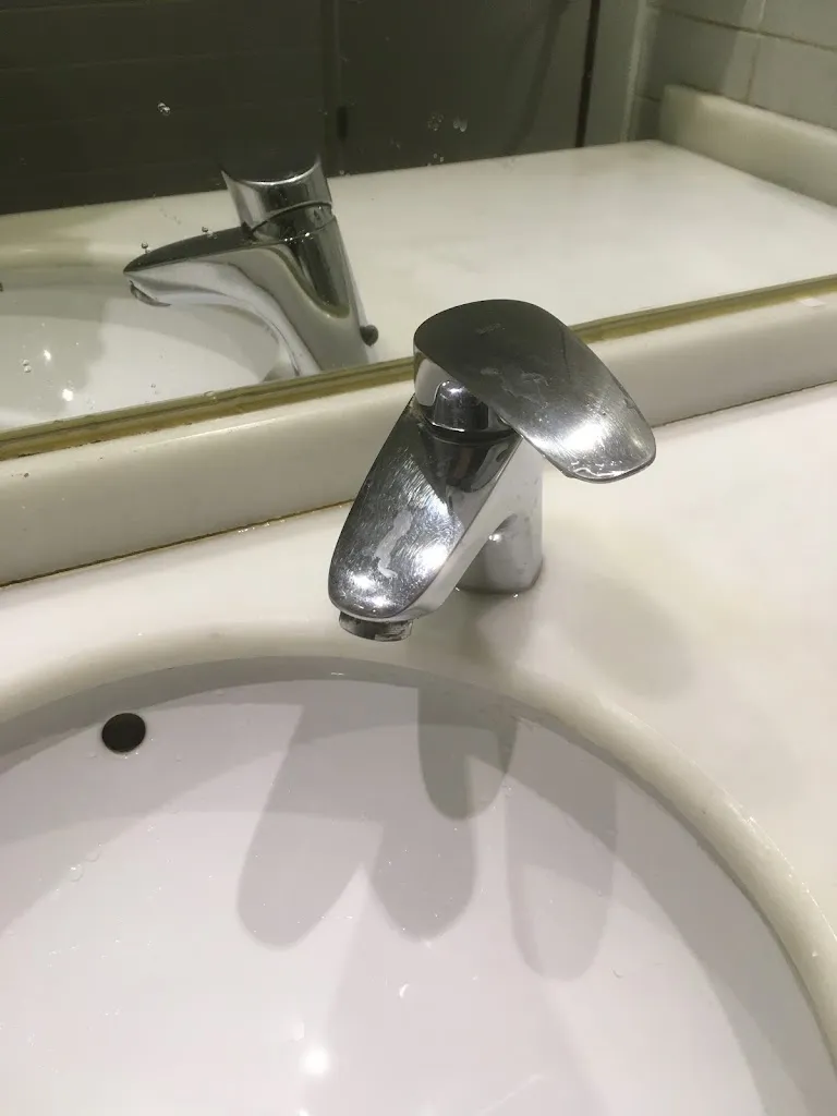 Javi FS_Restaurante Los Olmos_Olmos Los_recensione