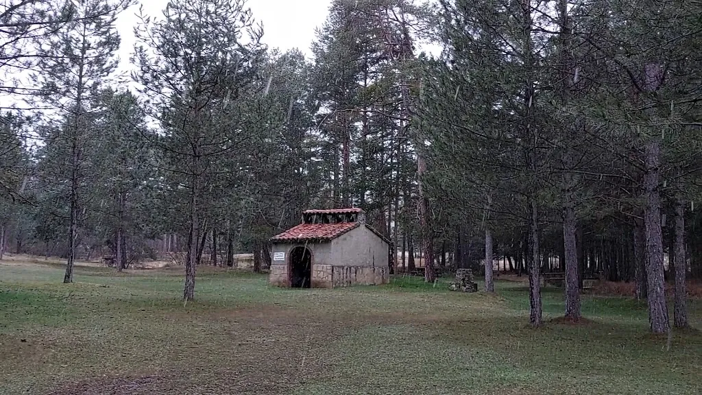 Restaurante Pet Friendly el Algarbe_Terriente_slider_image_3