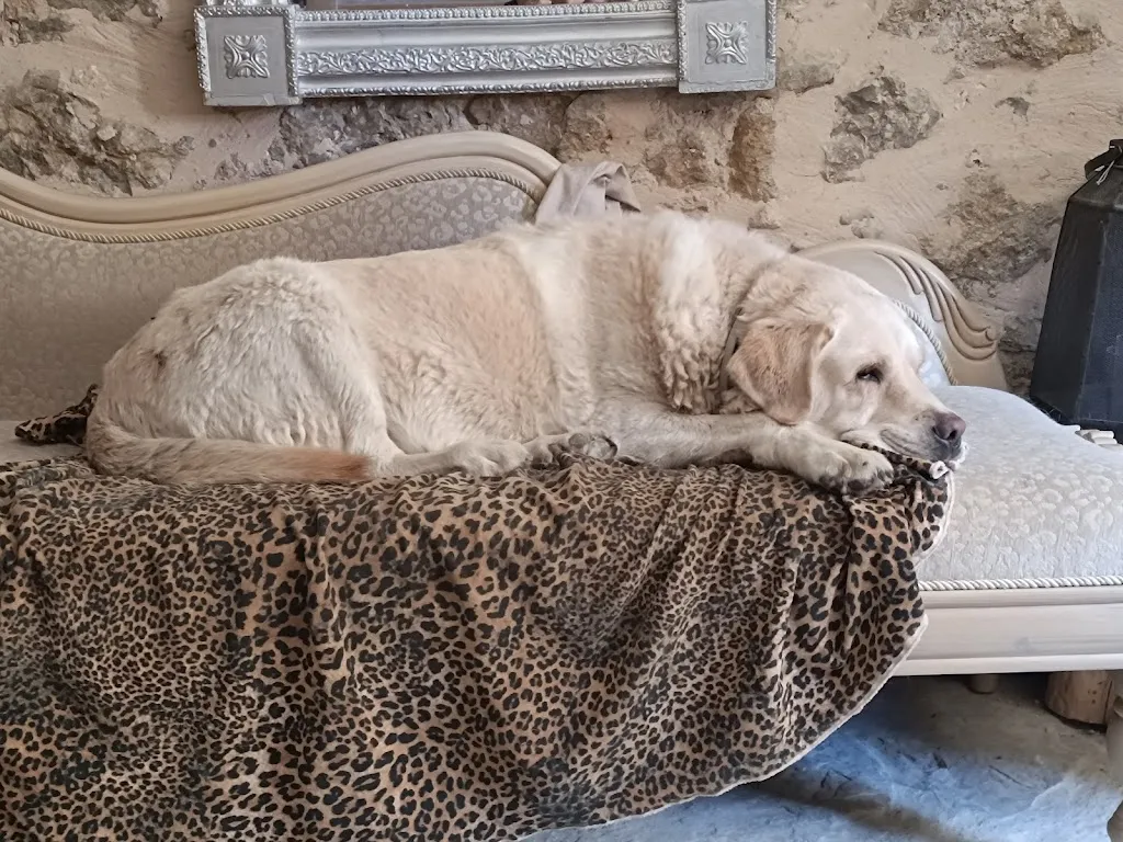 JOSE VARGAS MENA_Casa Rural Xana En Terriente_Terriente_review