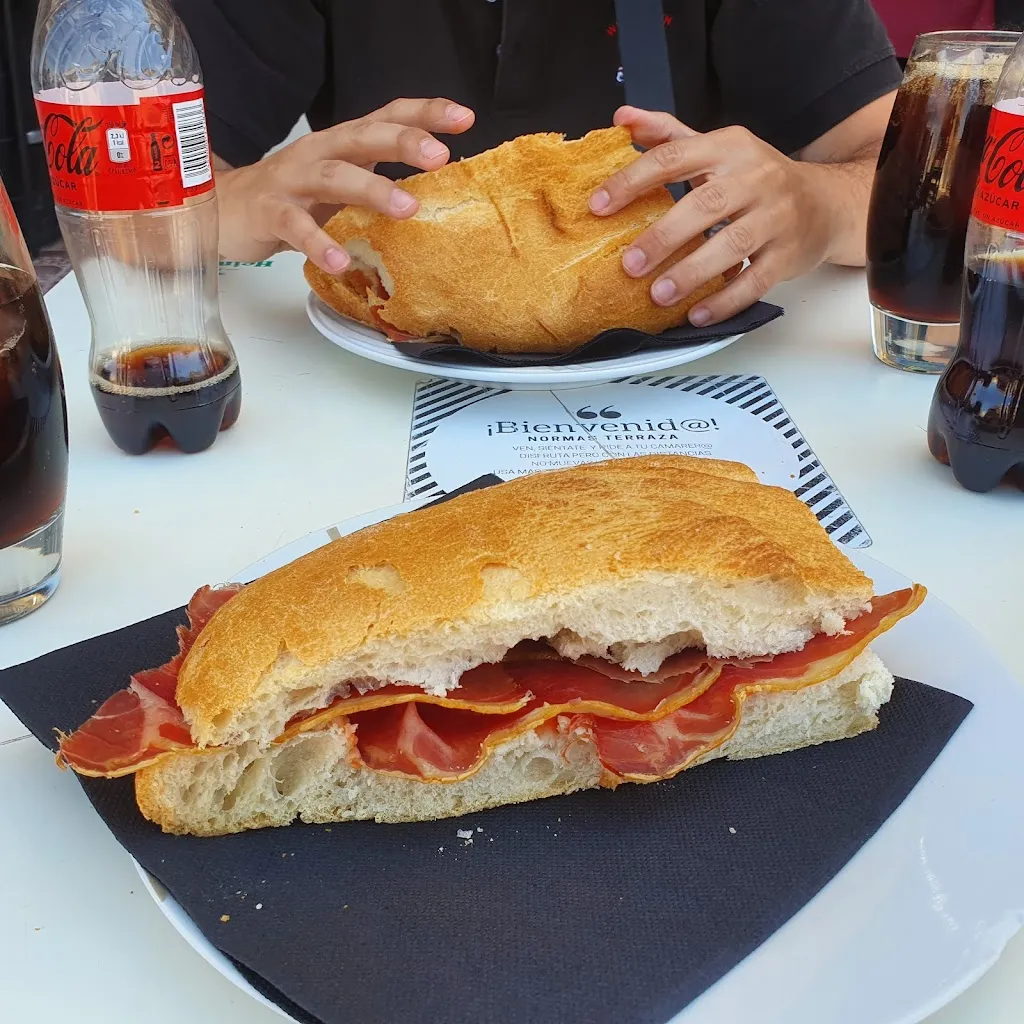 Menu_Restaurante Los Trujales_Torralba de los Sisones_image_8