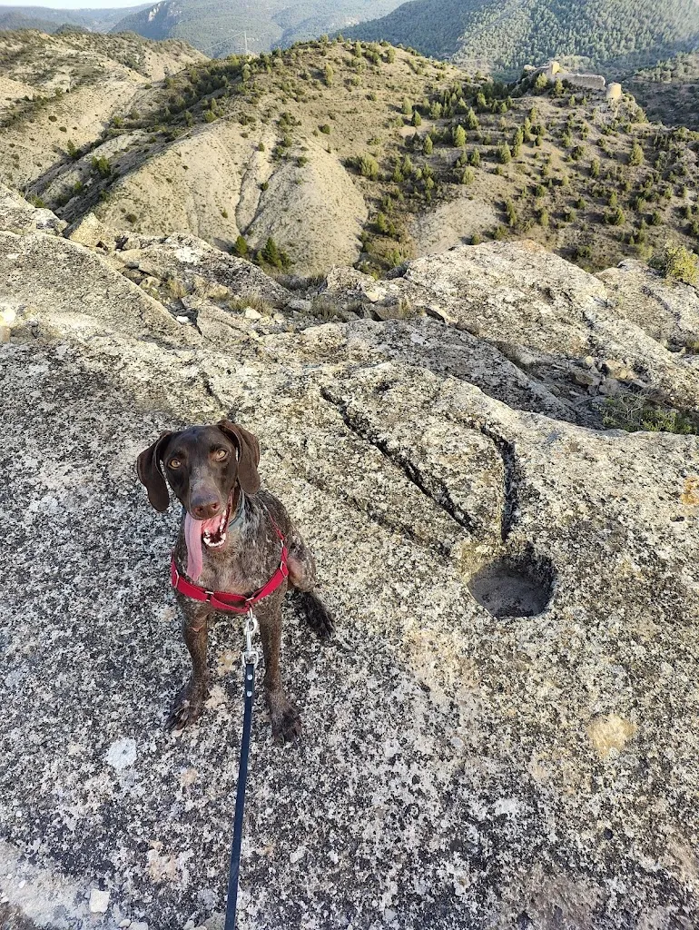 Barry Pennock_Casa Torta Javalambre_Valacloche_recensione