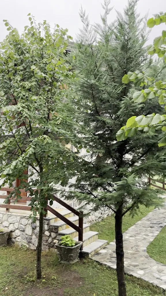 david burns_Relax Valbona Hotel Restaurant_Valbona_review