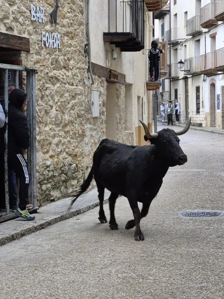 Gemma Sánchez_Fonda Villarluengo Nueva administración_Villarluengo_recensione
