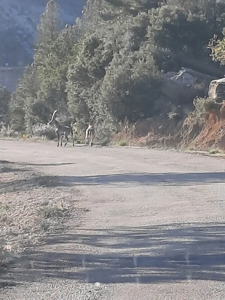 Sergio L_Fonda Josefina_Villarluengo_review