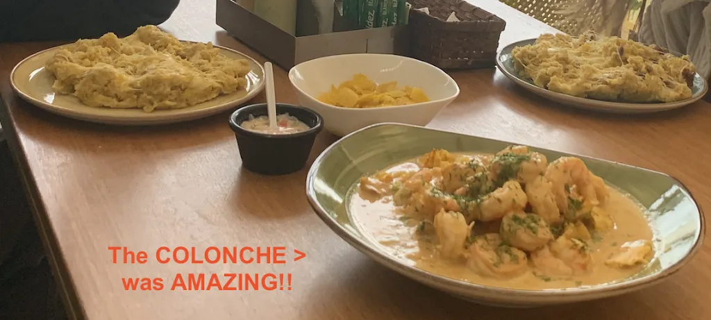 Joanne Welling_El Verde 