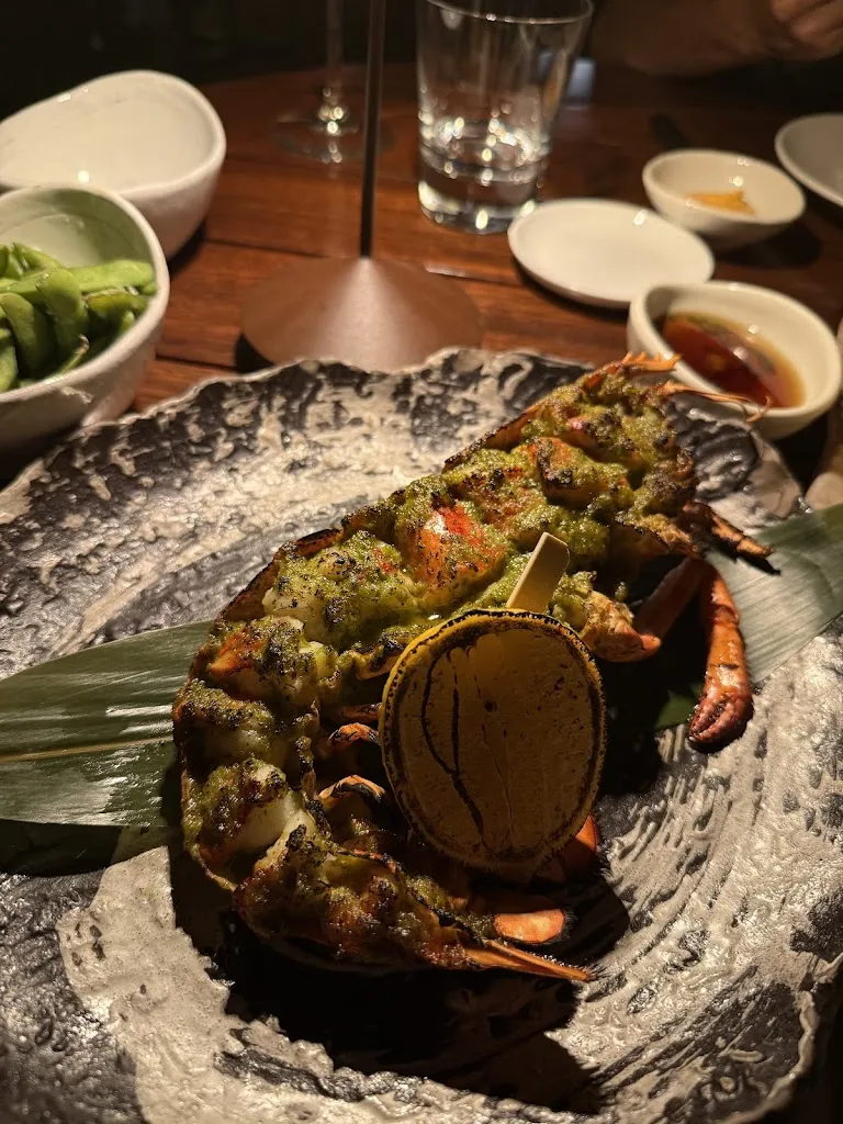 Ahmad Ghalib_Zuma Madrid_Zoma La_review