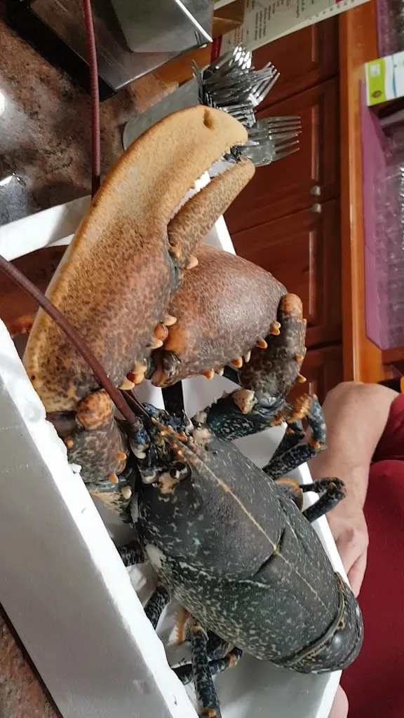 Café Bar Roque_Mojonera La_slider_image_2