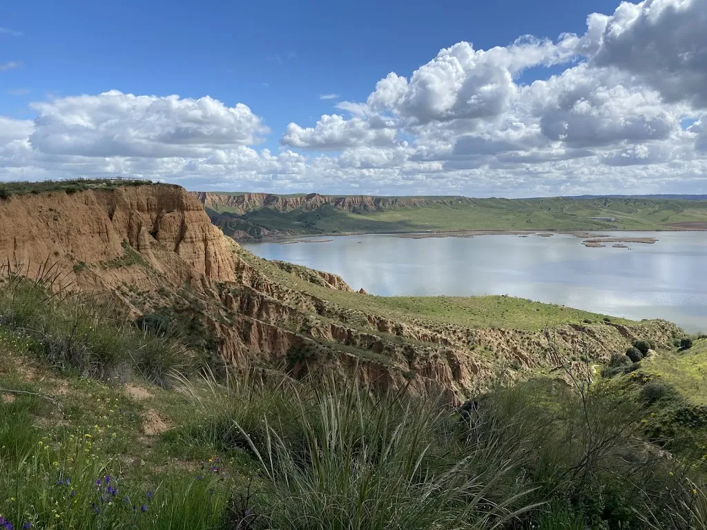 Liliana Kawase (Lili)_Barrancas de Castrejón y Calaña_Burujón_review