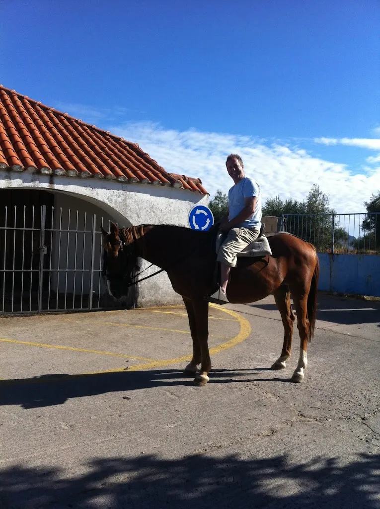 Bar El Molino restaurant in Campillo de la Jara El