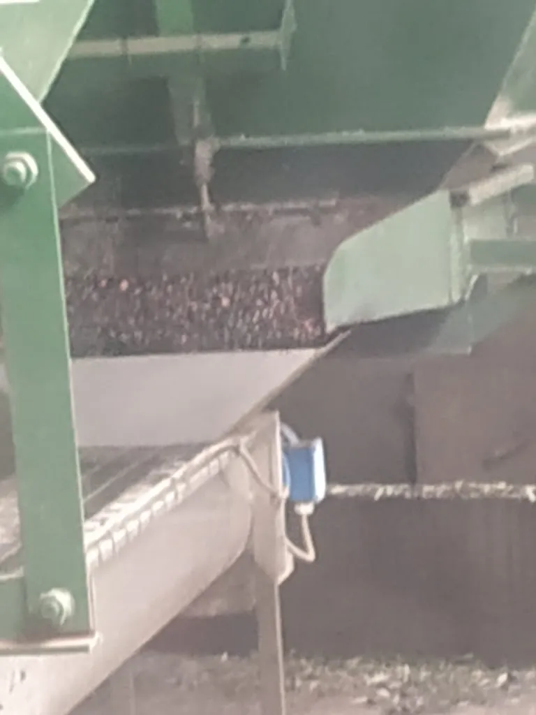 David Martin_ACEITES DEL TAJO, S.L._Carpio de Tajo El_review