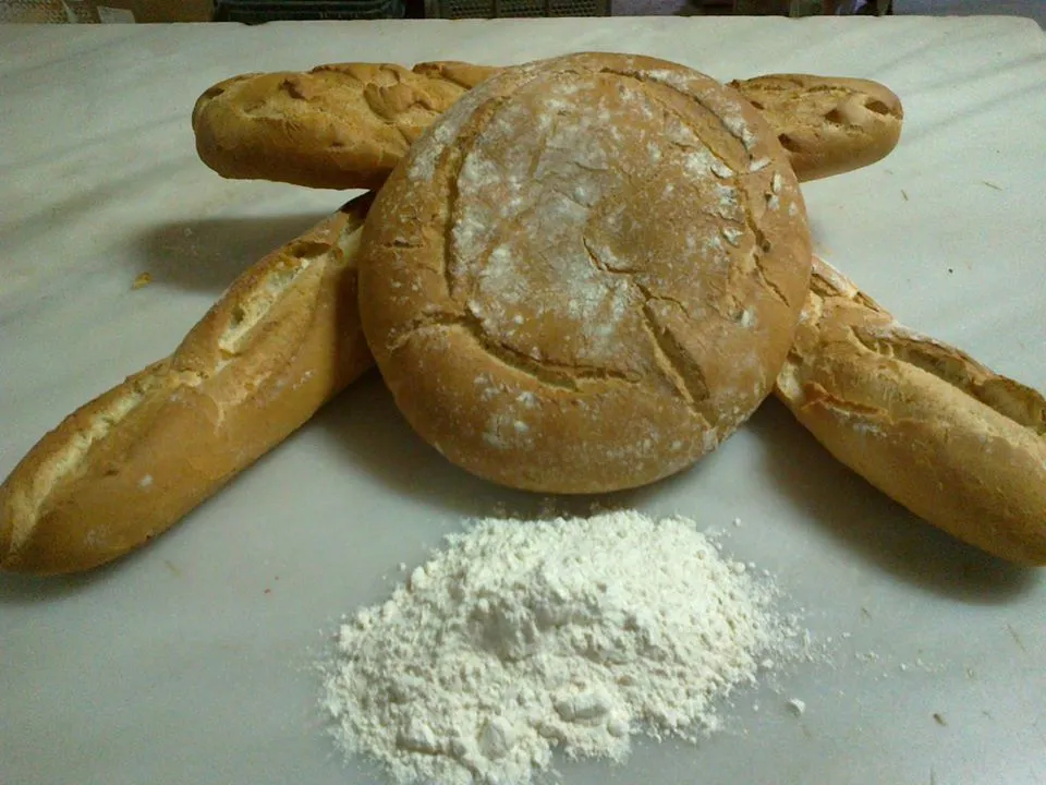 Menu_Coindul Carpio_Carpio de Tajo El_image_6