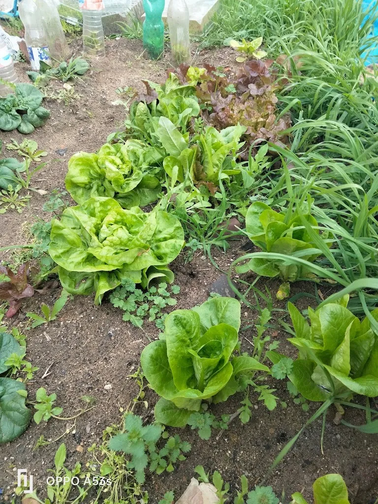 Artedul Pastelería_Carpio de Tajo El_slider_image_2