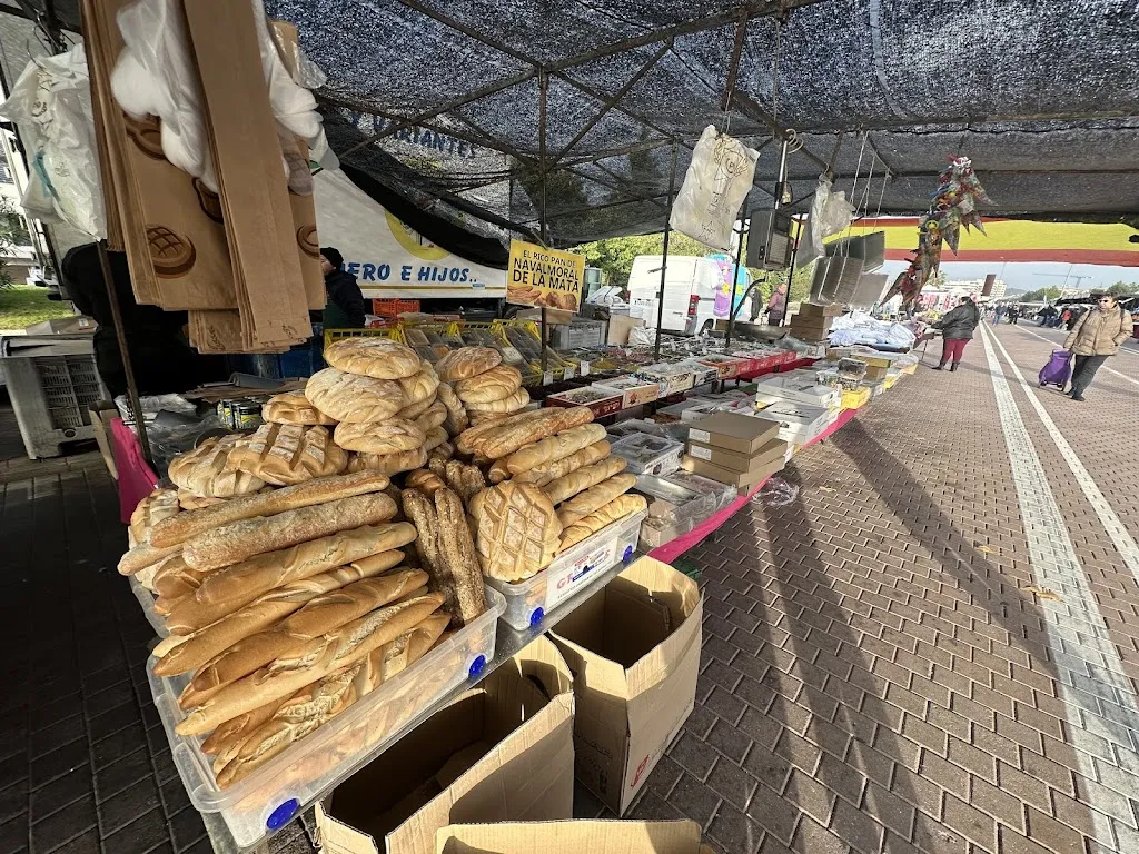 Felipe Romero Lira_Restaupan_Carranque_review