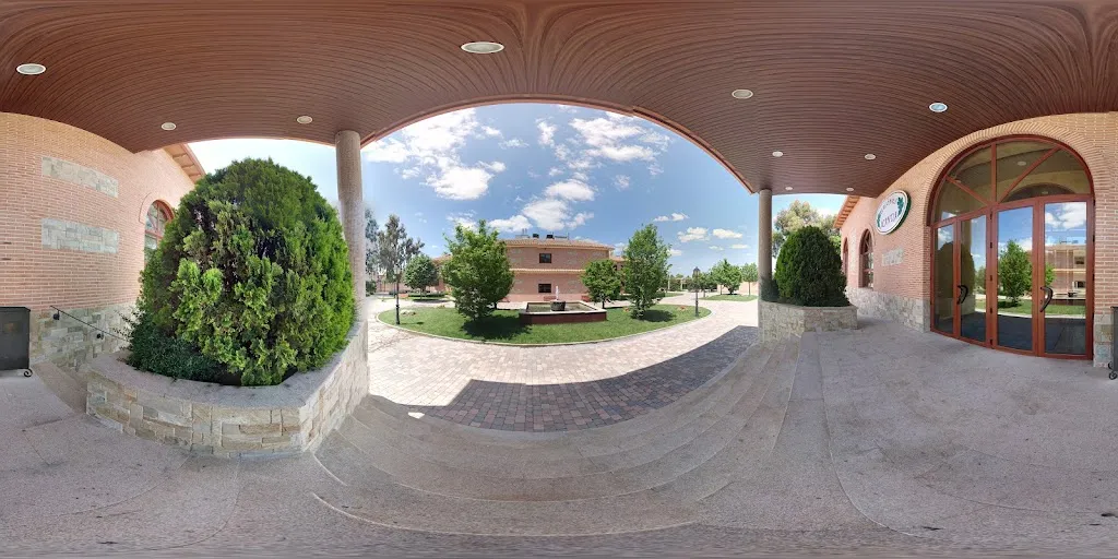 Disco Botticelli_Carranque_slider_image_3