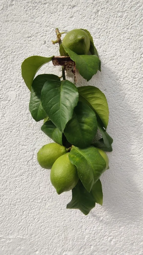 Casa Empleitas_Cerralbos Los_slider_image_2