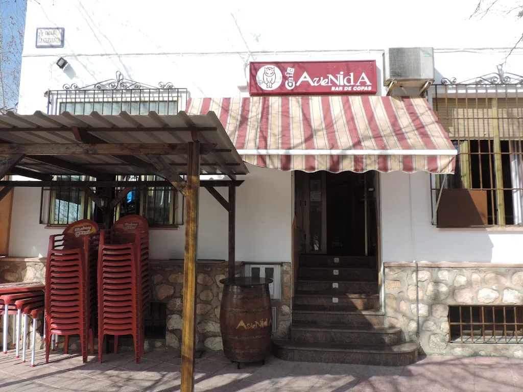 Cafe Avenida_Corral de Almaguer_slider_image_1