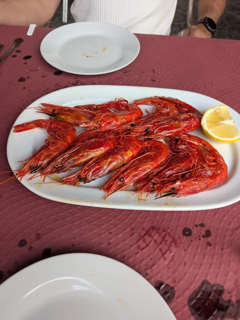 Jenny Jaramillo_Terraza La Lonja_Cuerva_review