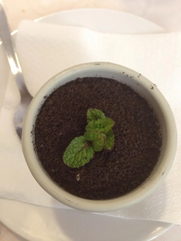 Menu_Restaurante Jamaica_Fuensalida_image_7