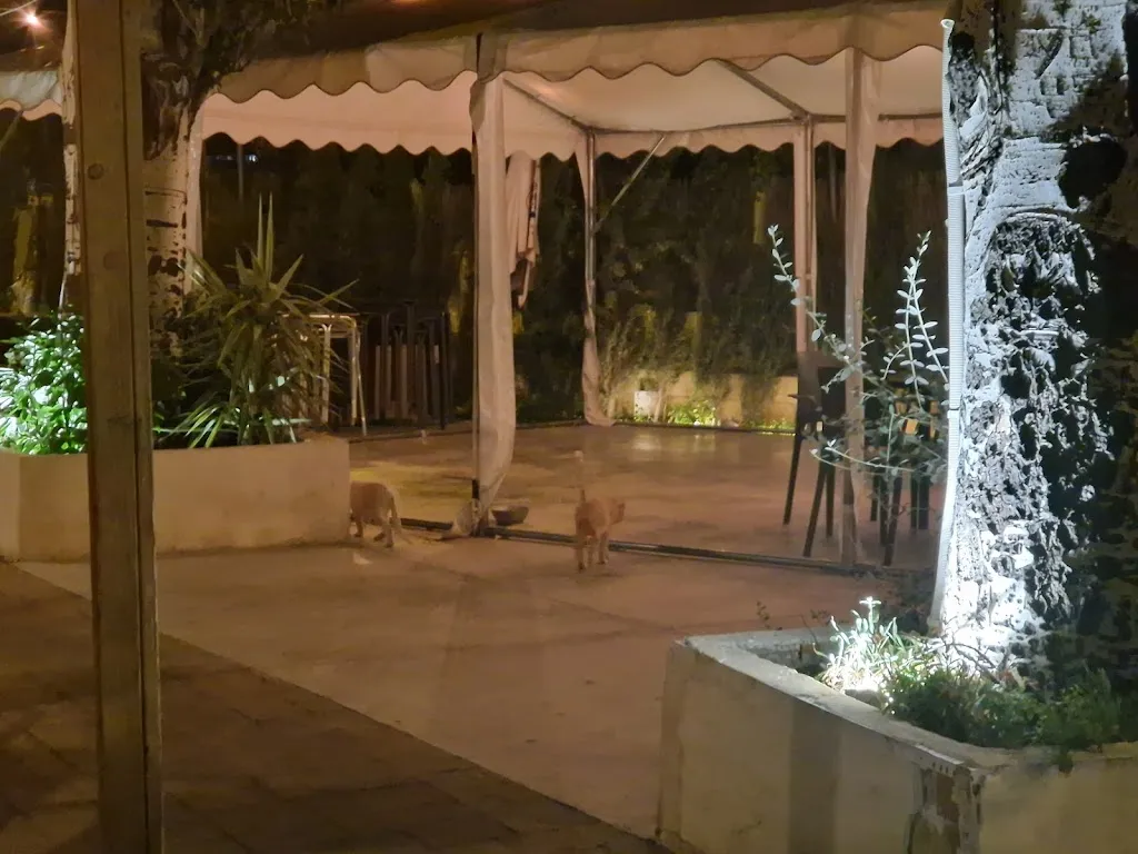 Jennifer Köster_Tapería - Bar Exit_Madridejos_review