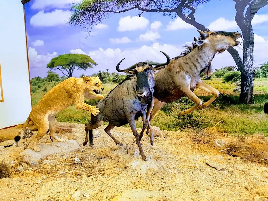 Estación de servicio Repsol SuperCOR Stop&Go Santa Ana_Madridejos_slider_image_2