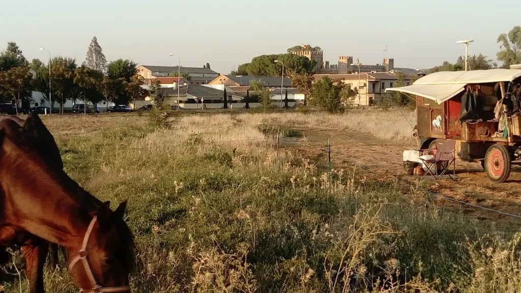 Restaurante Bar Imperial / Camas_Malpica de Tajo_slider_image_3