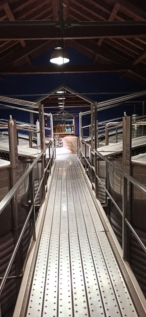 Jesus D.A_Bodegas NOC_Manzaneque_review