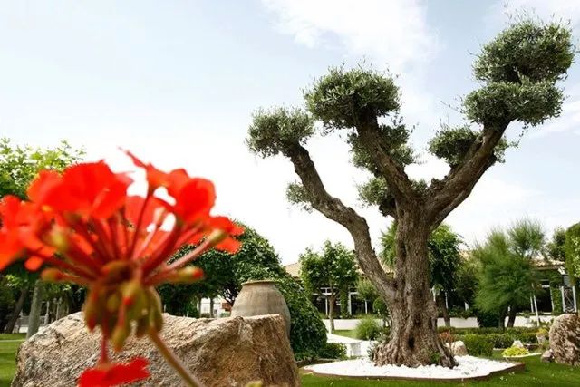 Complejo París restaurant in Illescas