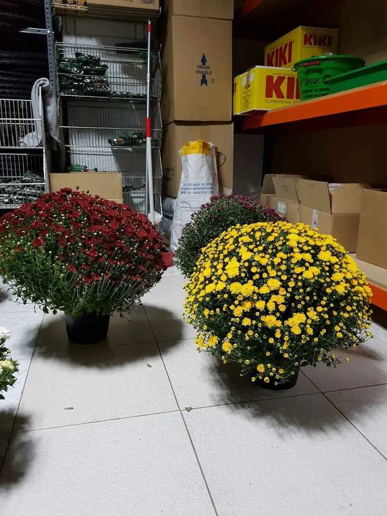 Barakate_Navalcán_slider_image_2