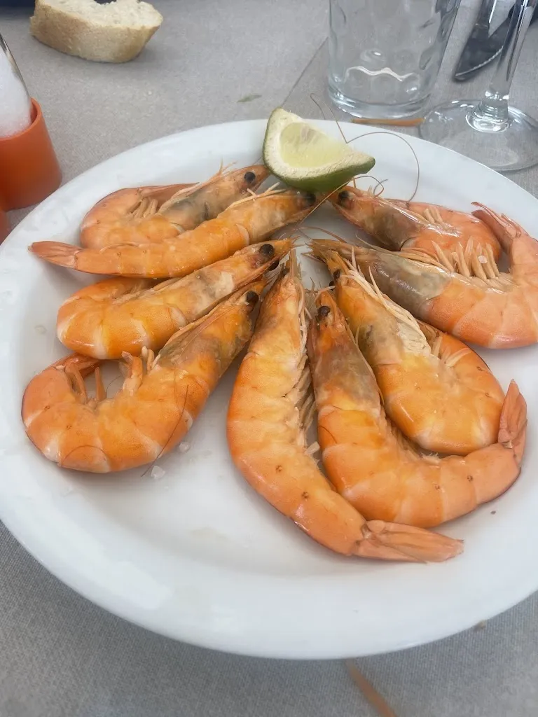 monica medina_Restaurante Los Pinos_Olías del Rey_review