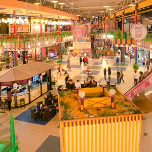 Parque Comercial Puerta de Toledo_Olías del Rey_slider_image_3