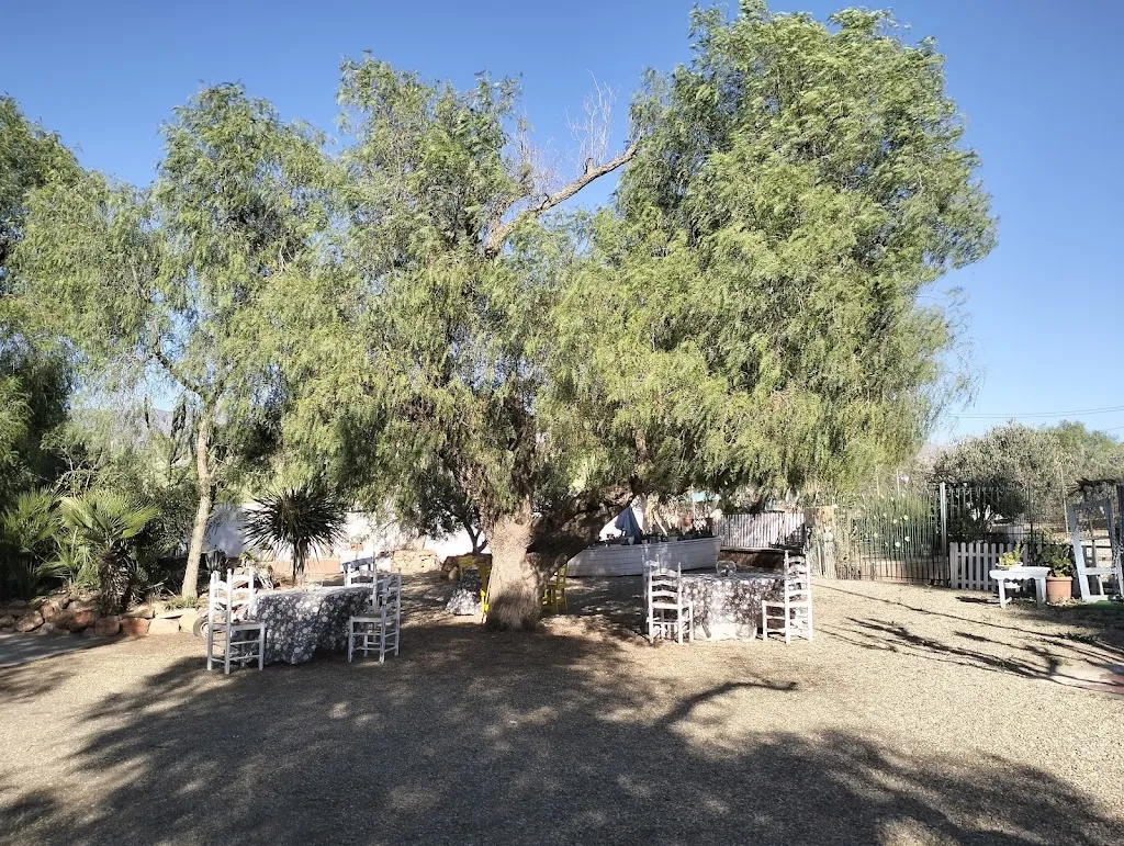 Patricia Díaz Cazorla_Restaurante Estación 12_Pechina_recensione