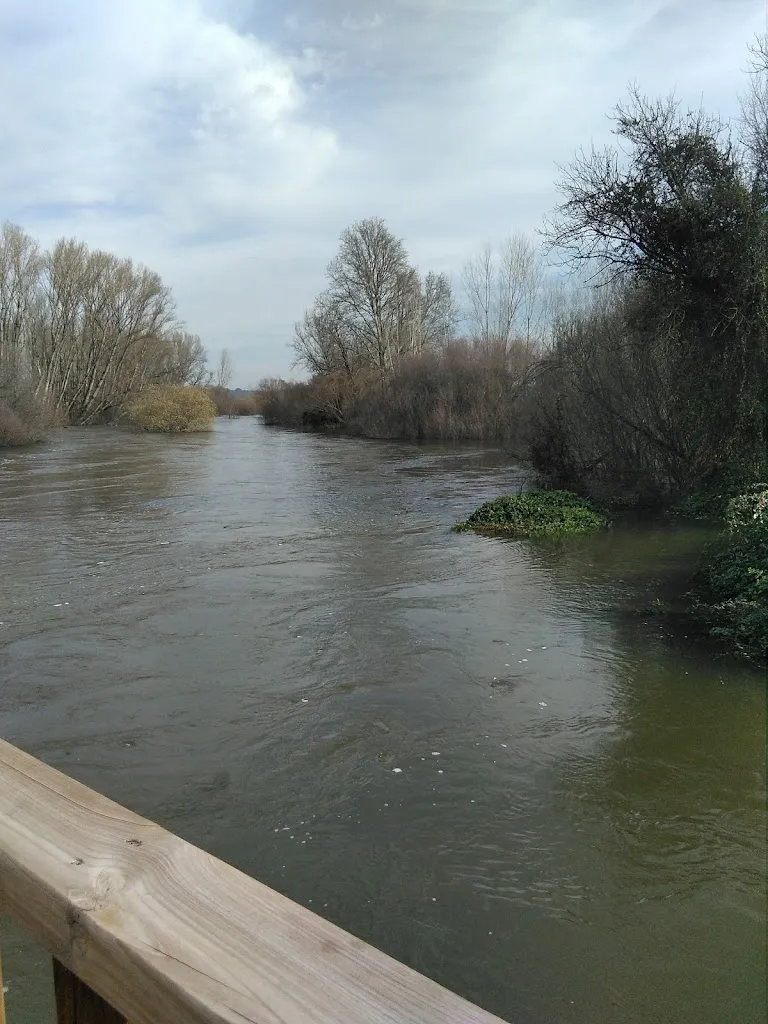 bar el paraguas_Paredes de Escalona_slider_image_3