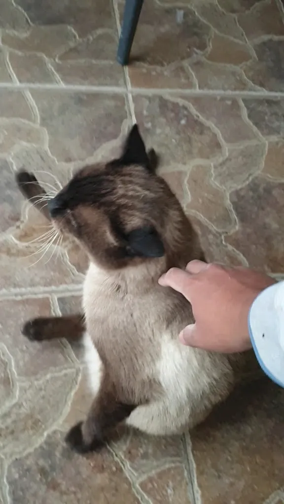 Bar Restaurante Sierra Alhamilla_Pechina_slider_image_2