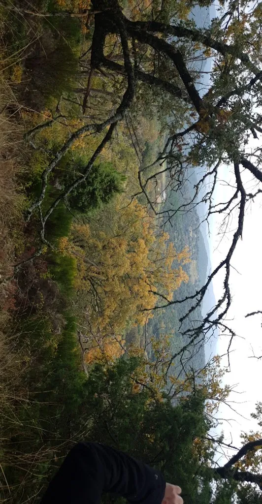 Raúl Cañete_Finca El Collao_Real de San Vicente El_review