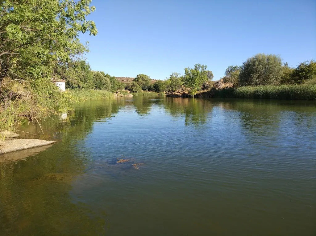Cervecería Restaurante Filo's_San Martín de Pusa_slider_image_3