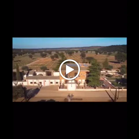 Complejo valdepusa_San Martín de Pusa_slider_image_2